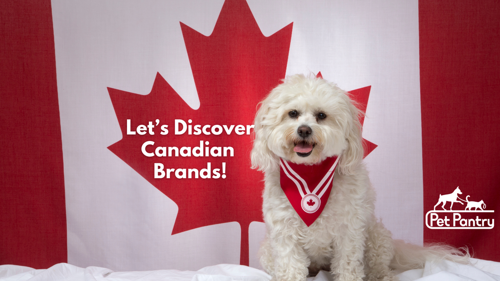 Top Canadian Pet Food Brands: Prioritizing Quality and Nutrition for Your Pets