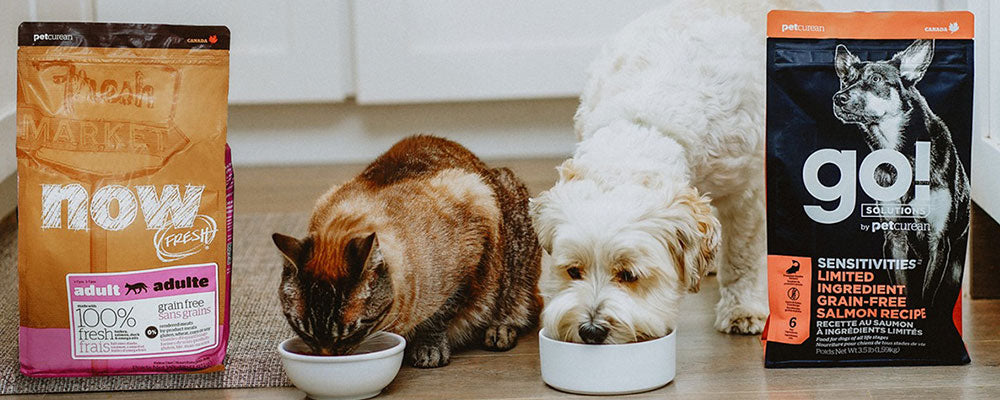 Signs of Food Sensitivities