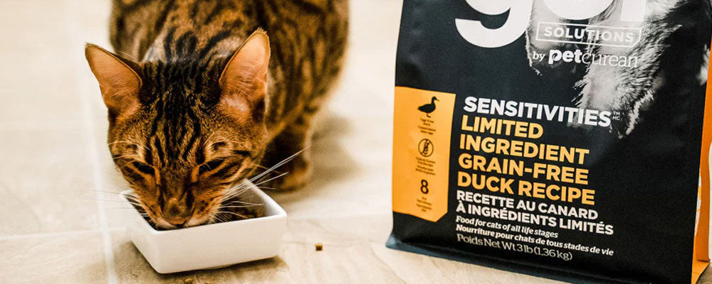 Tips For The First Time Kitten Owners
