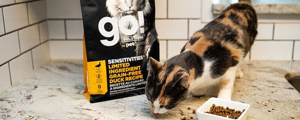 Novel Proteins in Cat Food